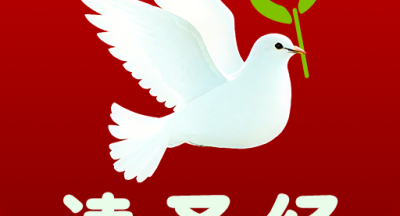 读圣经鸽子版