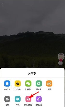 蘑菇视频app下载