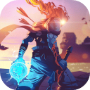 死亡细胞（Dead Cells）