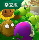 植物大战僵尸杂交版重制版