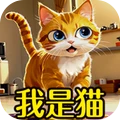 我的猫日记