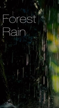 Relax Rain