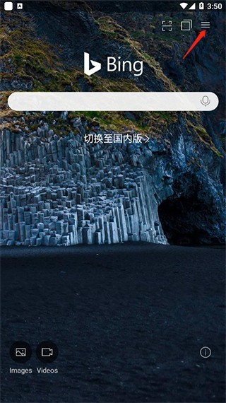 必应国内版