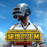 pubg国际服手游下载正版3.0