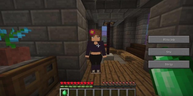 JennyMod直装版