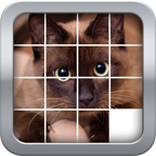 SliderMania Animals v2.2