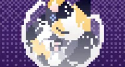 对人类过敏的猫测试版