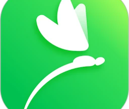 蜻蜓志愿