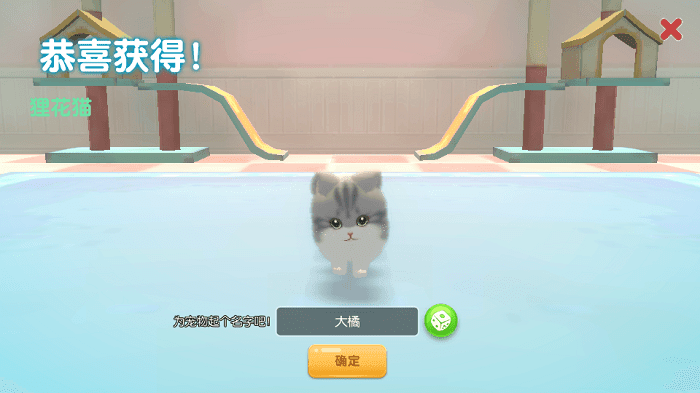 养了个猫金币版