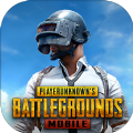 pubg国际服体验服呆呆直装版