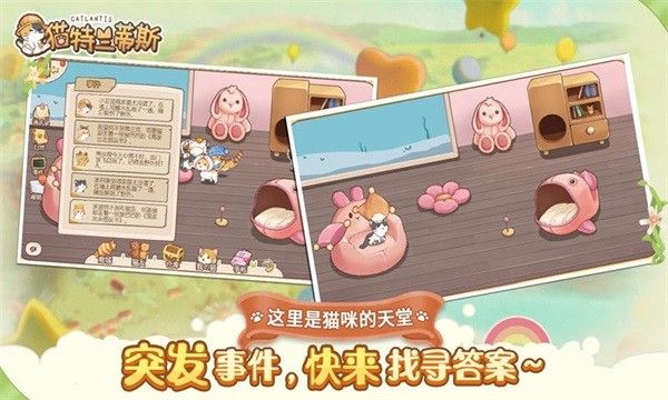 猫猫狗狗一起玩小游戏