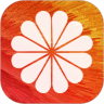 DIY壁纸制作软件app免费版下载 v3.1.1