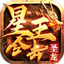 九鸿星王合击