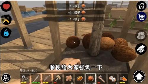 孤舟求生联机版中文版