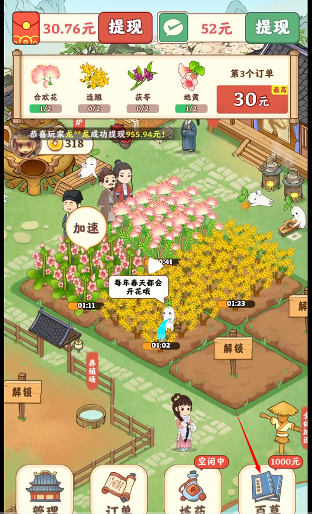 杏林世家2024