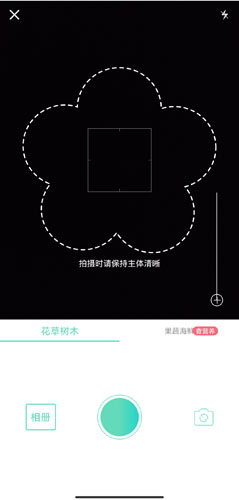 形色识植物免费版