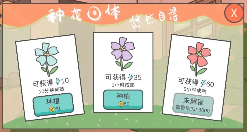 主播和猫的故事