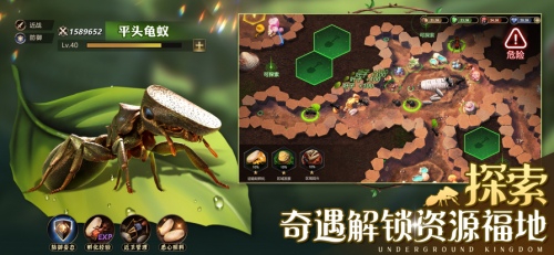 小小蚁国官方版
