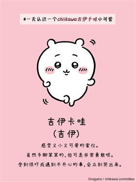 口袋吉伊卡哇国际服正版