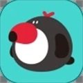 犀鸟课堂最新app官方版下载