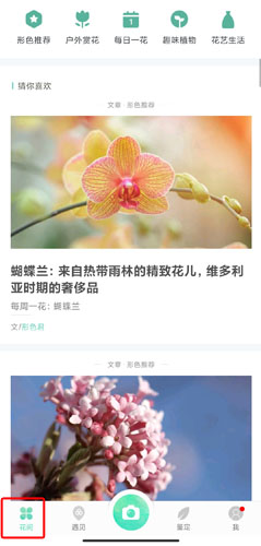 形色识植物免费版