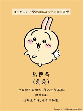 口袋吉伊卡哇国际服正版