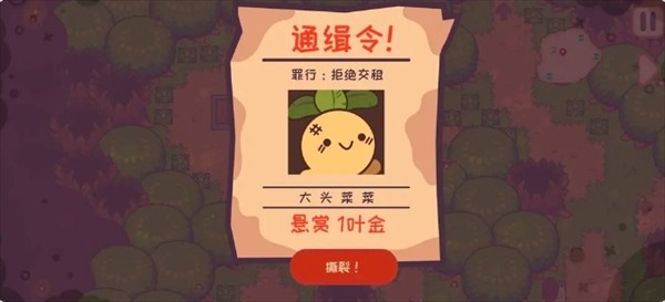大头菜菜历险记所有文件获取指南