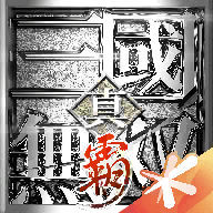 真三国无双霸台服官网
