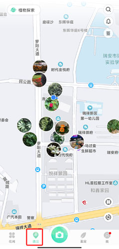 形色识植物免费版