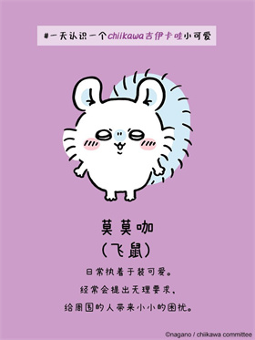 口袋吉伊卡哇国际服正版