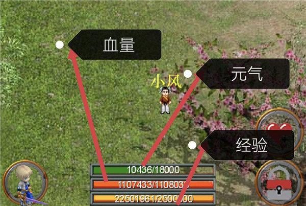 天尚网