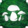 蘑菇猎人模拟器(Real Mushroom Hunting)