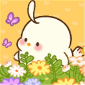 肥啾健身馆安卓版