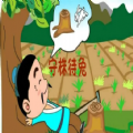 古诗词全回app最新版下载