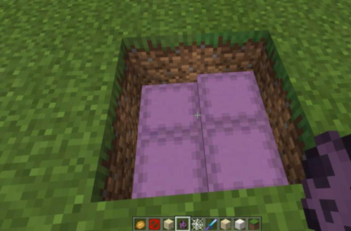 我的世界（Minecraft）11