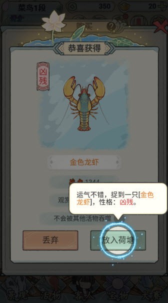 荷塘争霸